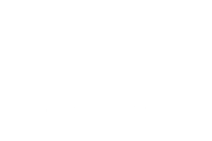 IWOG Logo (Presentation)